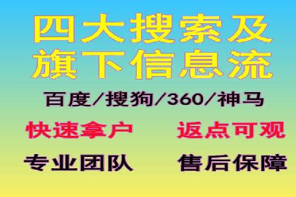深入解析SEM竞价托管的成功案例